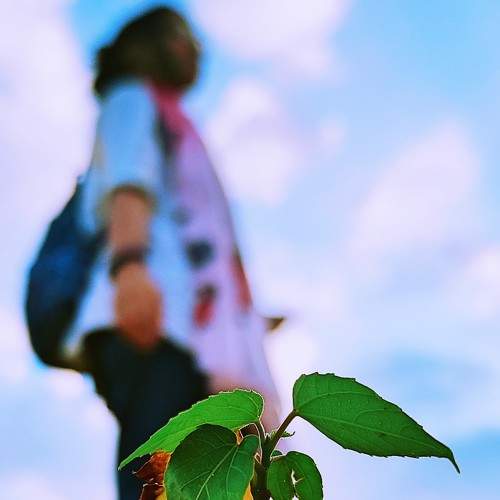 Photo #9239456