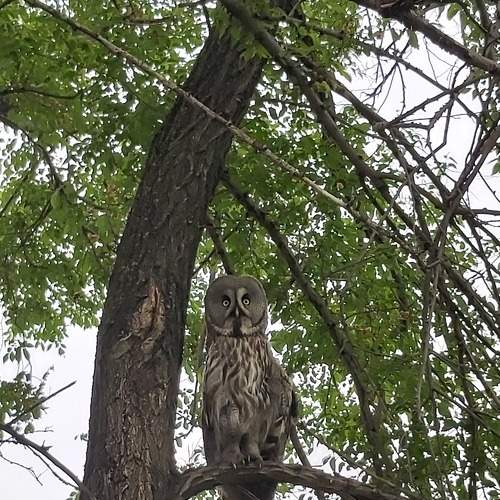 Photo #9239466