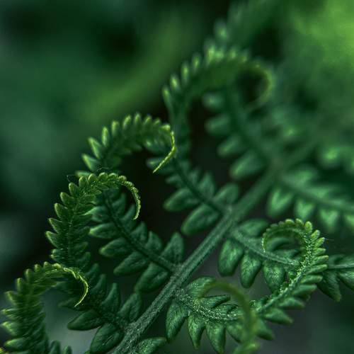 Photo #9239710