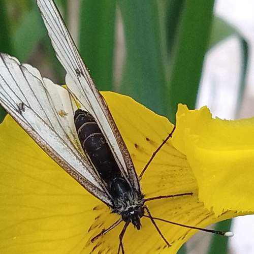 Photo #9241418
