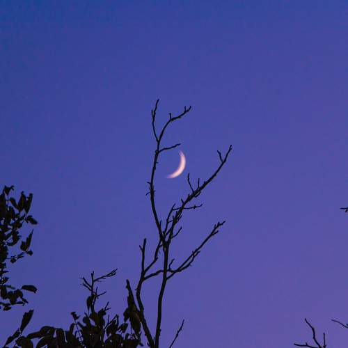 Photo #9241510