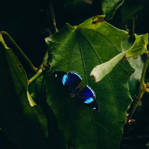 Photo #9241552