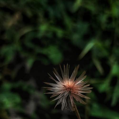 Photo #9241941
