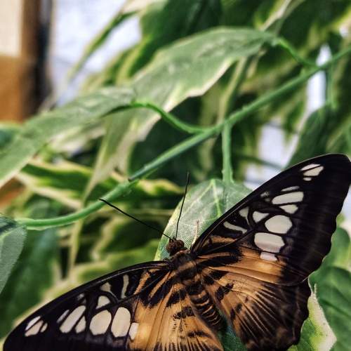 Photo #9242222