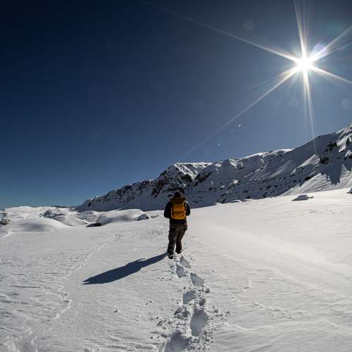 Photo #9242254