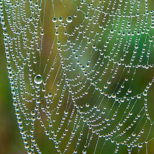 Photo #9242470