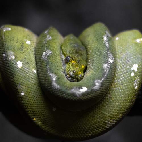 Photo #9242473