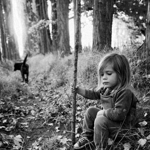Photo #9242474