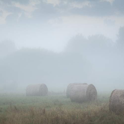 Фотография #9242688