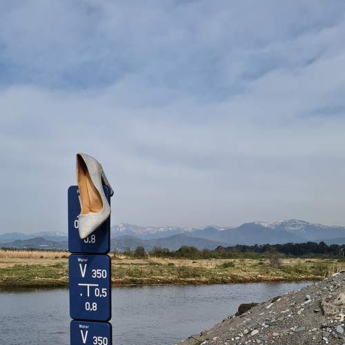 Photo #9242741