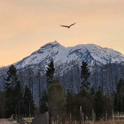 Photo #9242937
