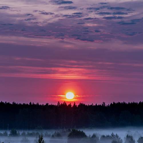 Photo #9243151