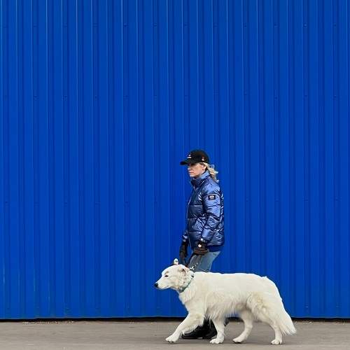 Photo #9243393