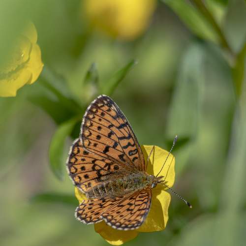 Photo #9243679