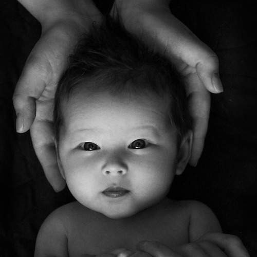 Photo #9243840