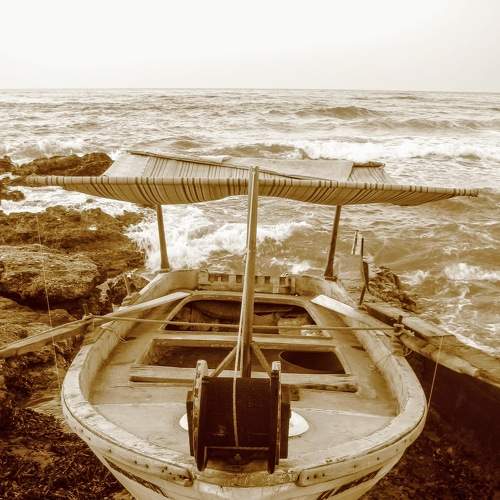 Photo #9244571