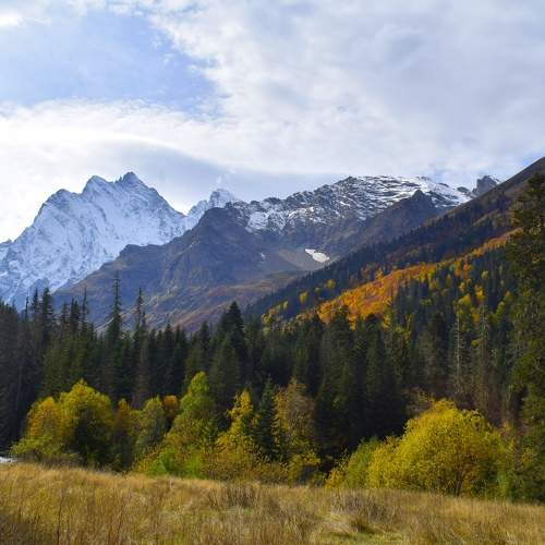 Photo #9245459