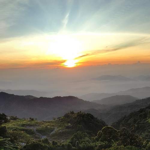 Photo #9245989
