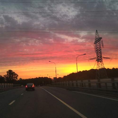Photo #9246311