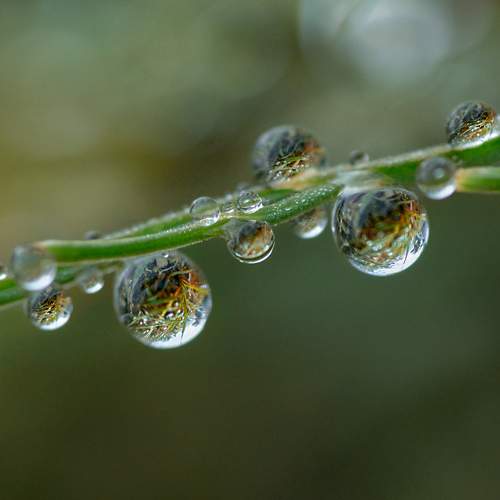 Photo #9247829