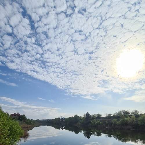 Photo #9248201