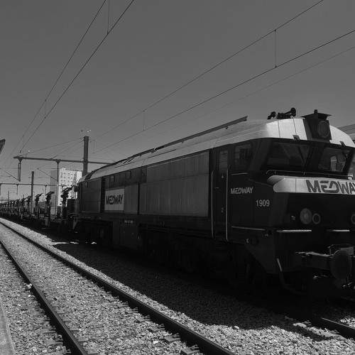 Photo #9248560