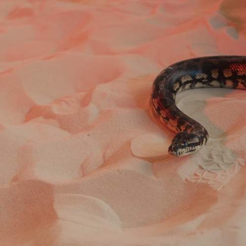 Photo #9249233