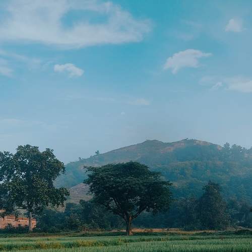 Photo #9249312
