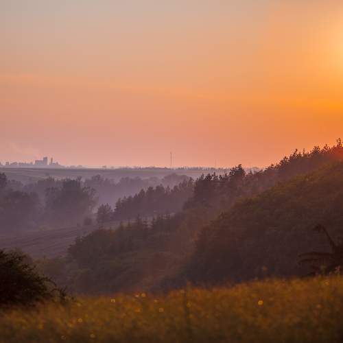 Photo #9249412