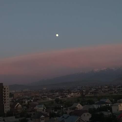 Photo #9249464