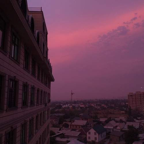 Photo #9249467