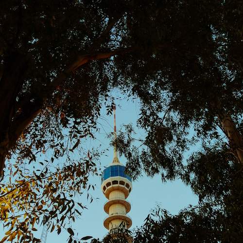 Photo #9250285