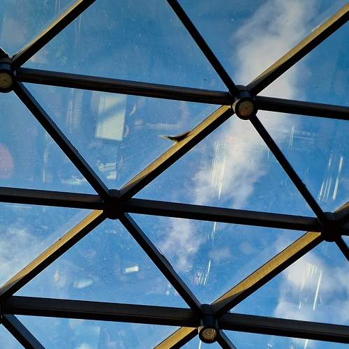 Photo #9250298