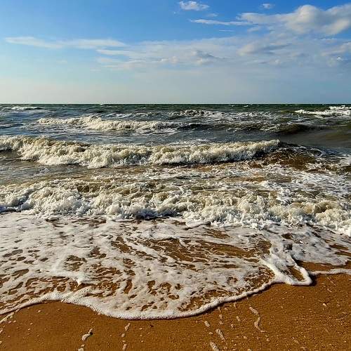 Photo #9250563