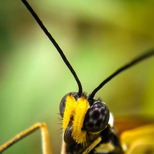 Photo #9250858