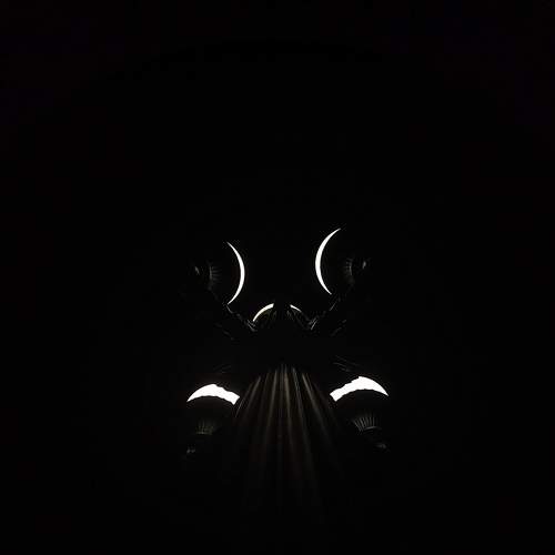 Photo #9250900