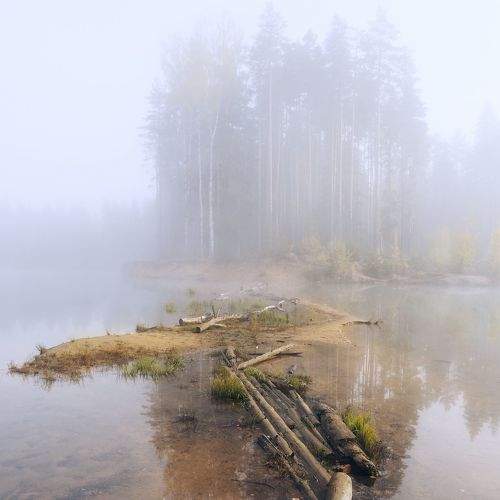 Photo #9251554
