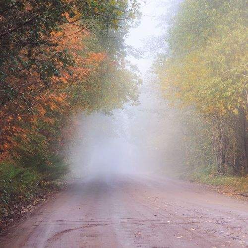 Photo #9251555