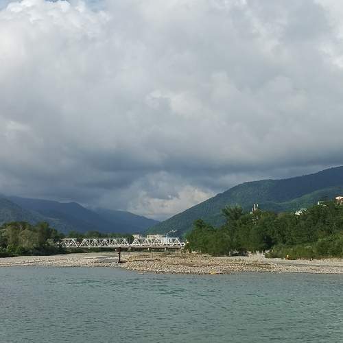 Photo #9251895