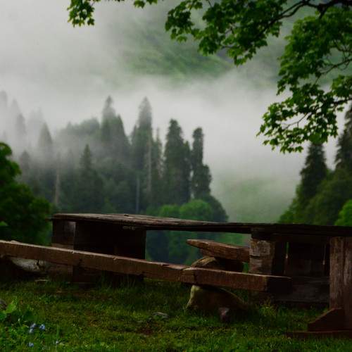 Photo #9252036
