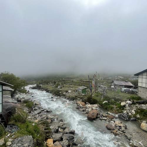 Photo #9252139