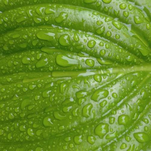 Photo #9252162