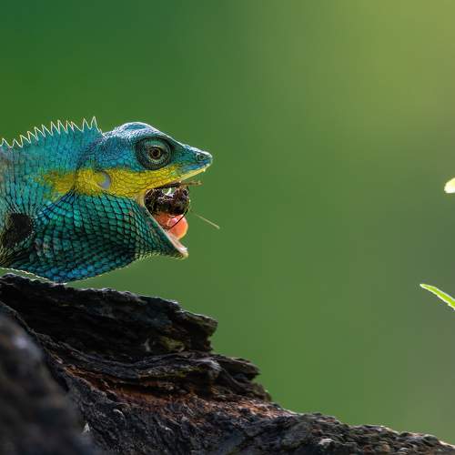Photo #9252319