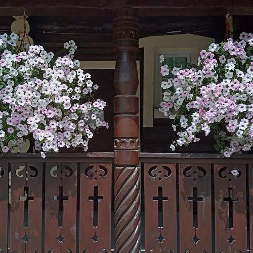 Photo #9252394