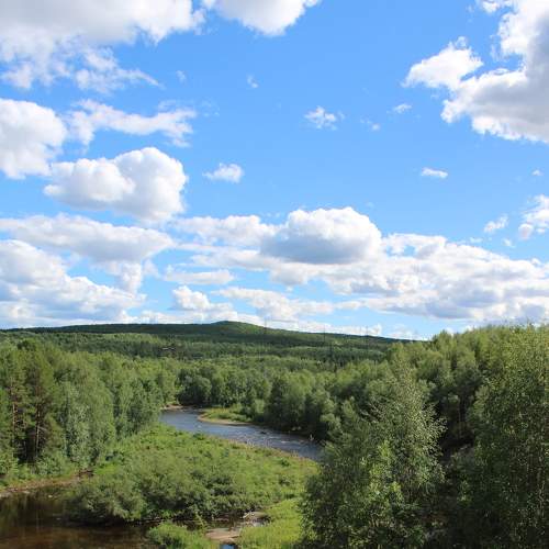 Photo #9253219