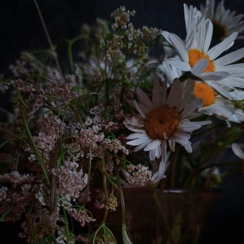 Photo #9253352