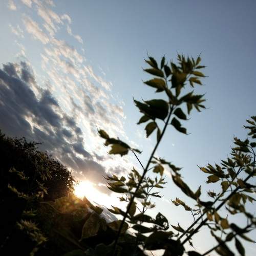 Photo #9253487
