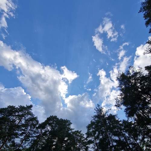 Photo #9253614
