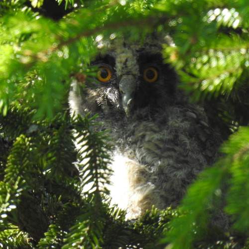 Photo #9253713