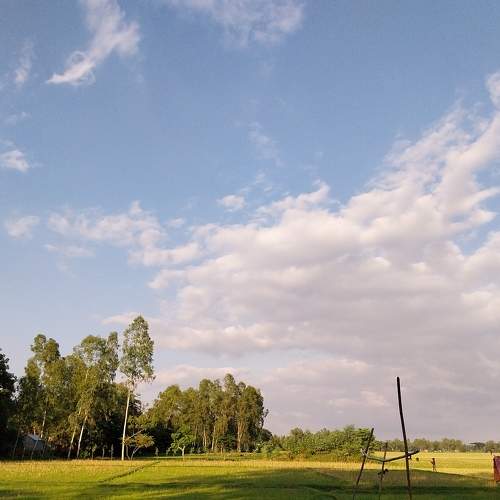 Photo #9253799